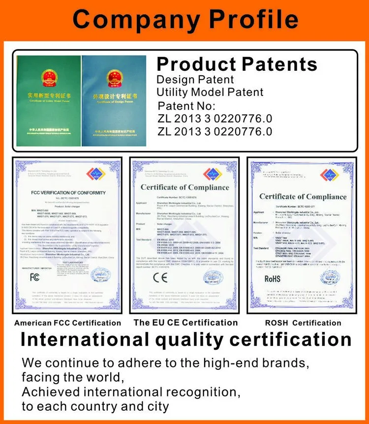 solar sunshine charger (26)