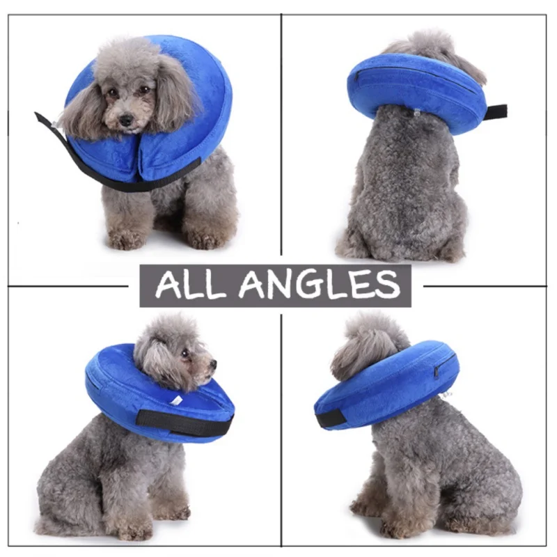 HTB1Z.e5k9cqBKNjSZFgq6x_kXXaE