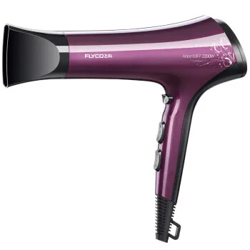 

FLYCO Flying Branch Home FH6273 High Power Dryer Hair Hair Dryer Professional Negative Ions Hair Dryer