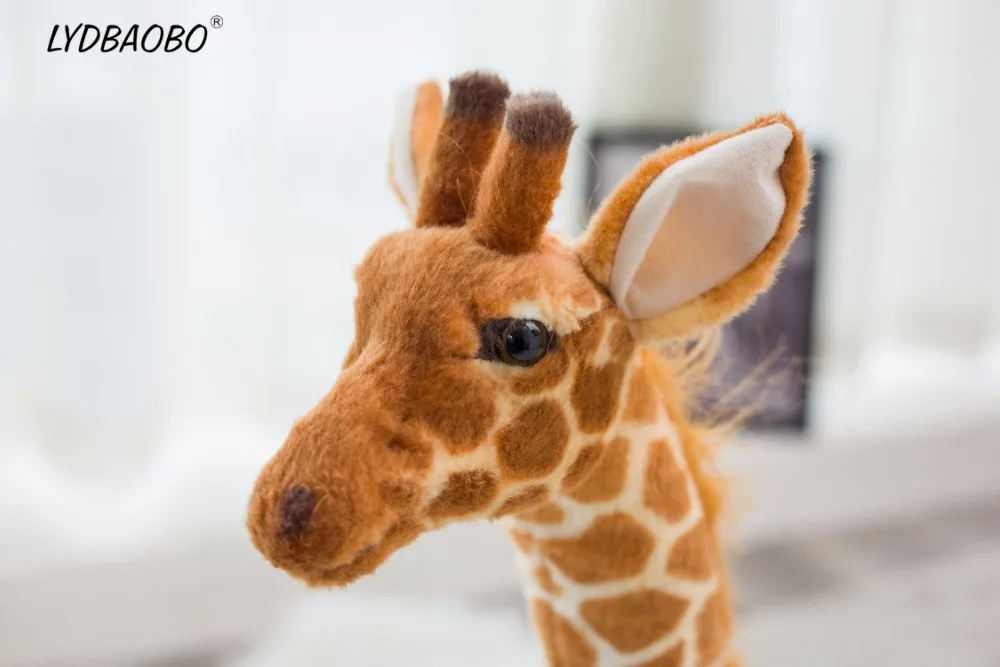 HTB1ctZOboo09KJjSZFDq6z9npXan