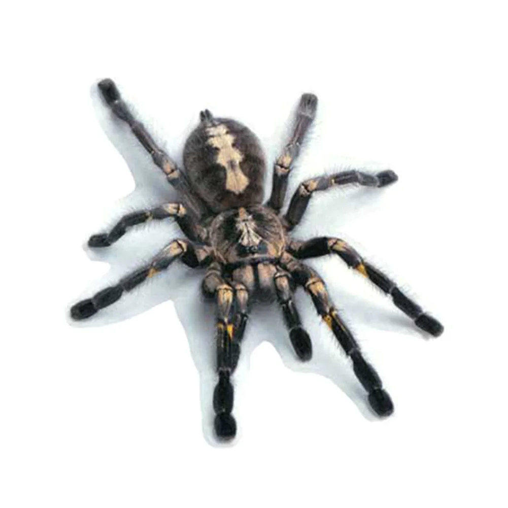 Горячая 3D ПВХ стикер автомобиля ящерица скорпион паук наклейка на кузов и окна автомобиля Наклейка BX - Название цвета: Black Spider