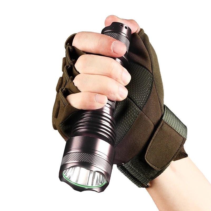 Flashlight (2)