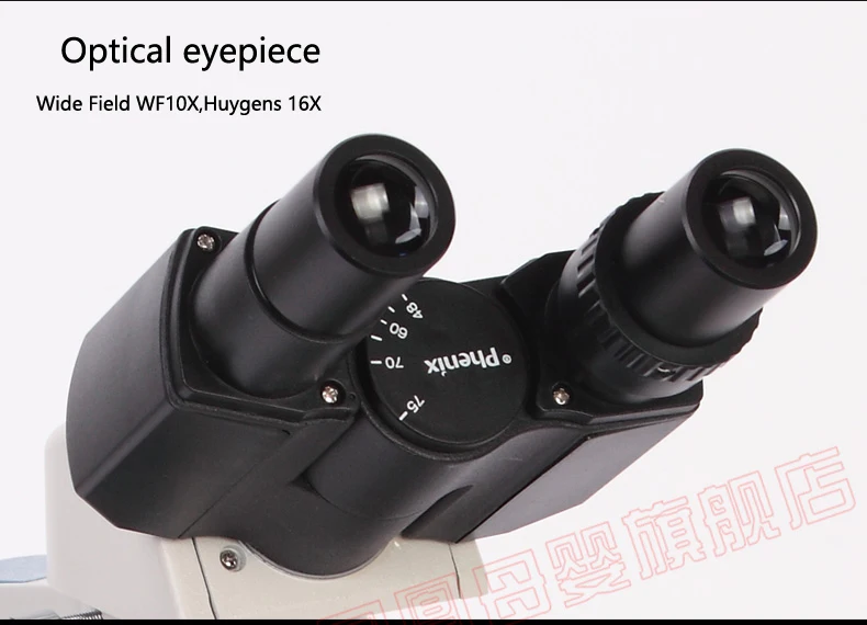 XSP-36 