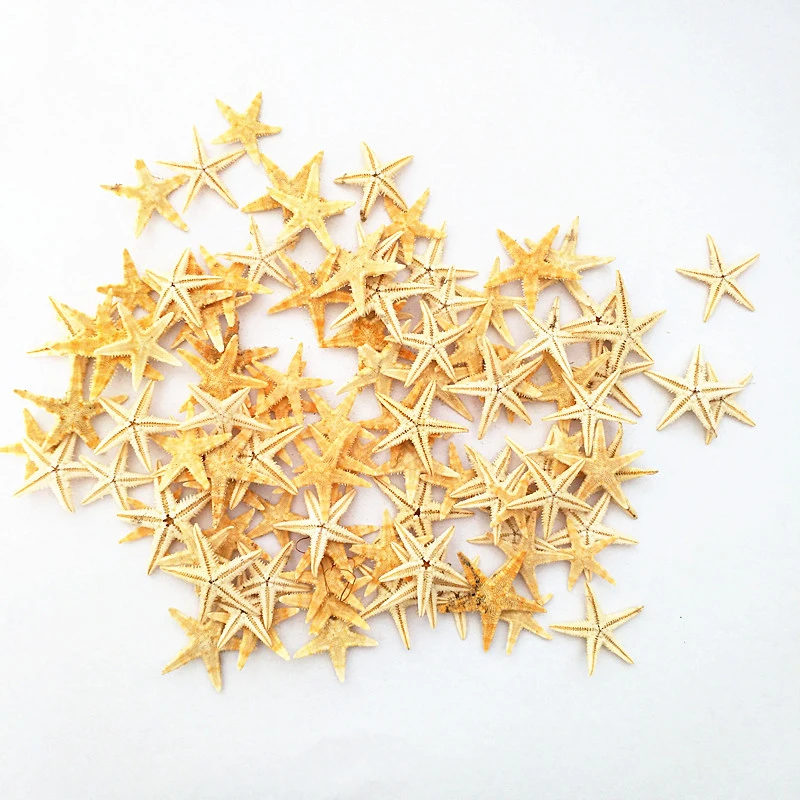 100pcs natural sea star Small Starfish Star Sea Shell Beach Craft 1.8-3cm