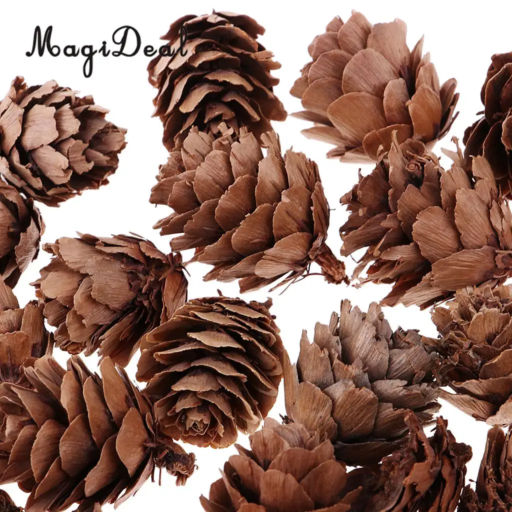 40Pcs Small Natural Pine Cones Acorns In Bulk Dried Flowers Table Ornament for Home Christmas Decoration DIY Craft