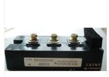 PM300DSA060 PM300CSE060