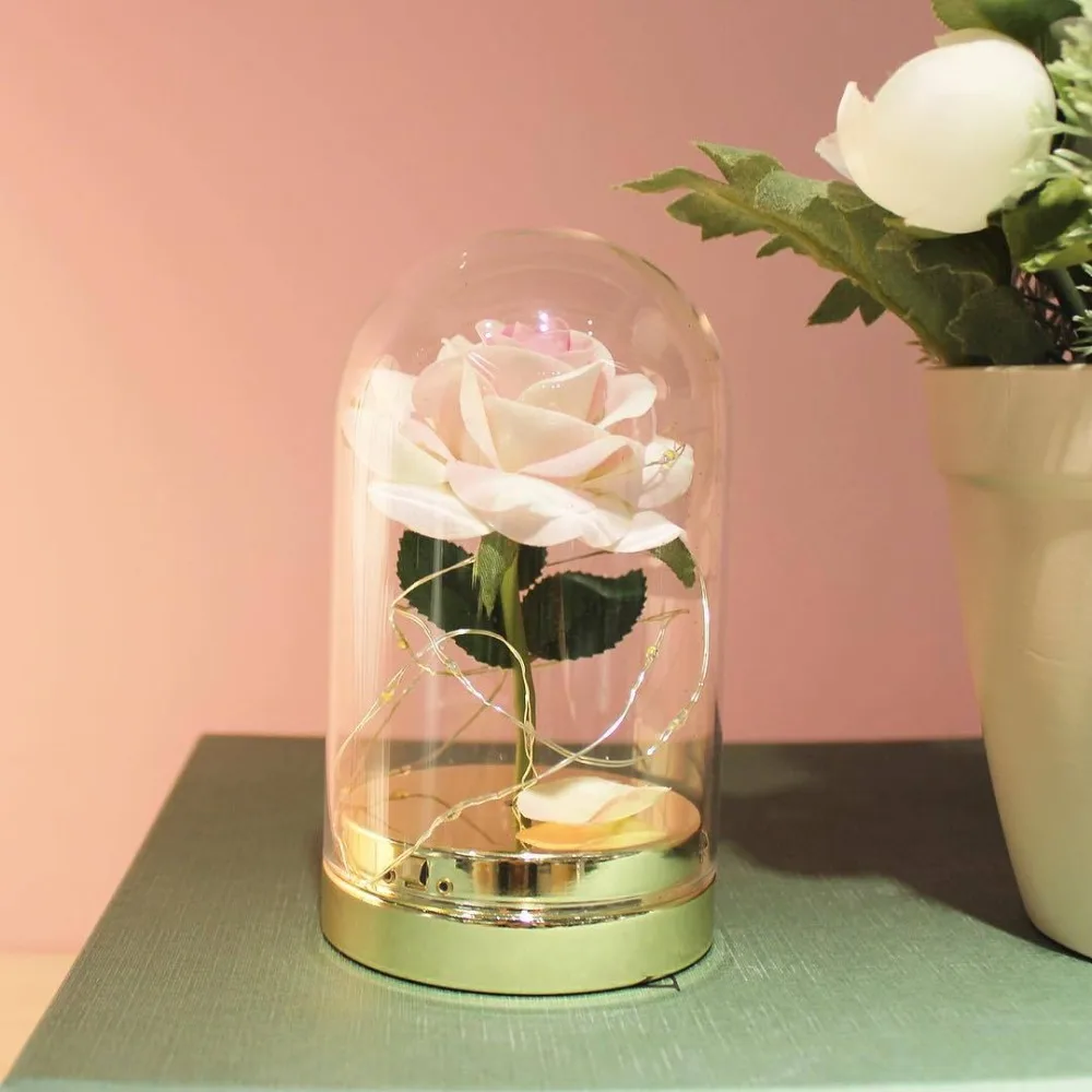 10807989396_1678365216