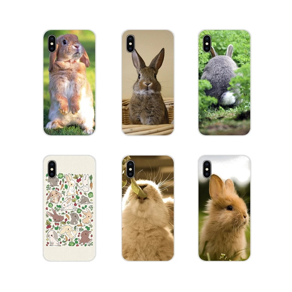 Accessories Phone Shell Covers For Samsung Galaxy J1 J2 J3 J4 J5 J6 J7 J8 Plus 2018 Prime 2015 2016 2017 Rabbit | Мобильные телефоны