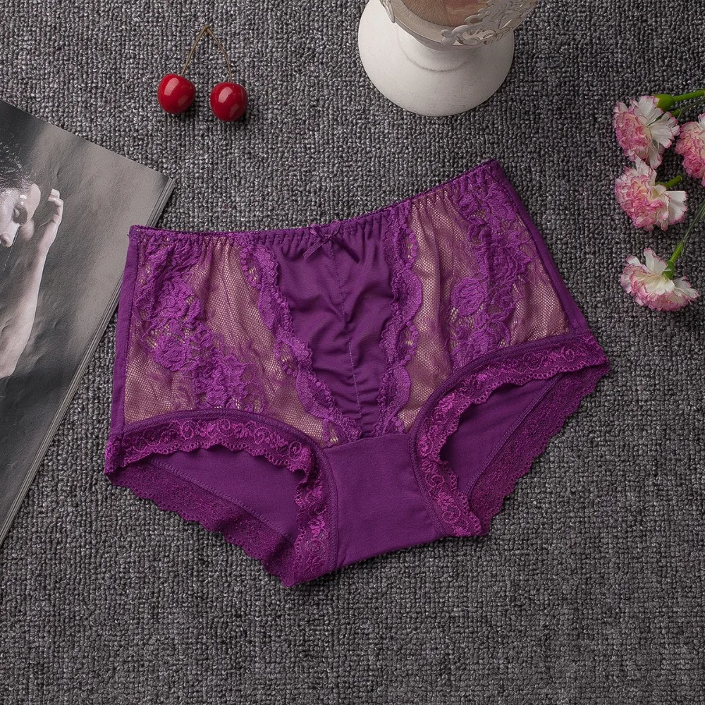 New Women's Briefs Viscose Lace Panties Plus Size Transparent Underwear