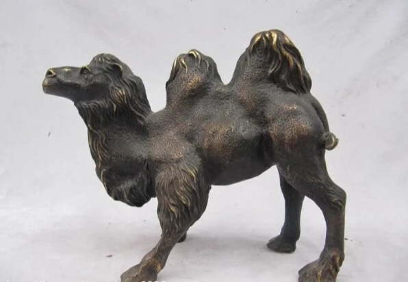 Scy Collectible Bronze Lion Statue S1195 Chinese Folk Classical Bronze Desert Twin Peaks Camel Llama Statue B0403 Statues Collectibles Statue Lionstatue Bronze Aliexpress
