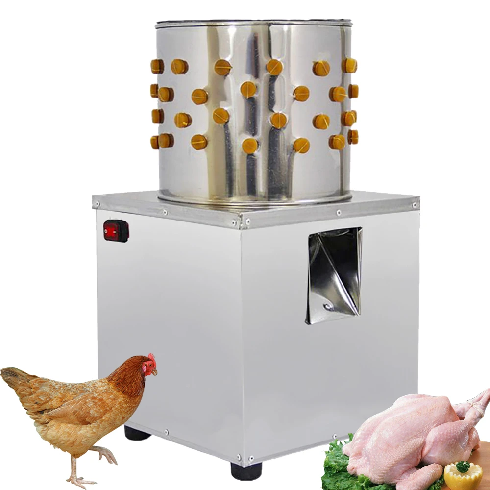 En Iyi Fiyat 220 V 700 W Ticari Tavuk Yolma Makinesi Ile 30 Cm Kova Ordek Tavuk Plucker Kumes Hayvani Yolma Makinesi Satilik Machine Machine Machine Formachine Chicken Aliexpress En Iyi Fiyat 220 V 700 W Ticari Tavuk Yolma Makinesi Ile 30 Cm Kova Ordek Tavuk Plucker Kumes Hayvani Yolma Makinesi Satilik Machine Machine Machine Formachine Chicken Aliexpress
