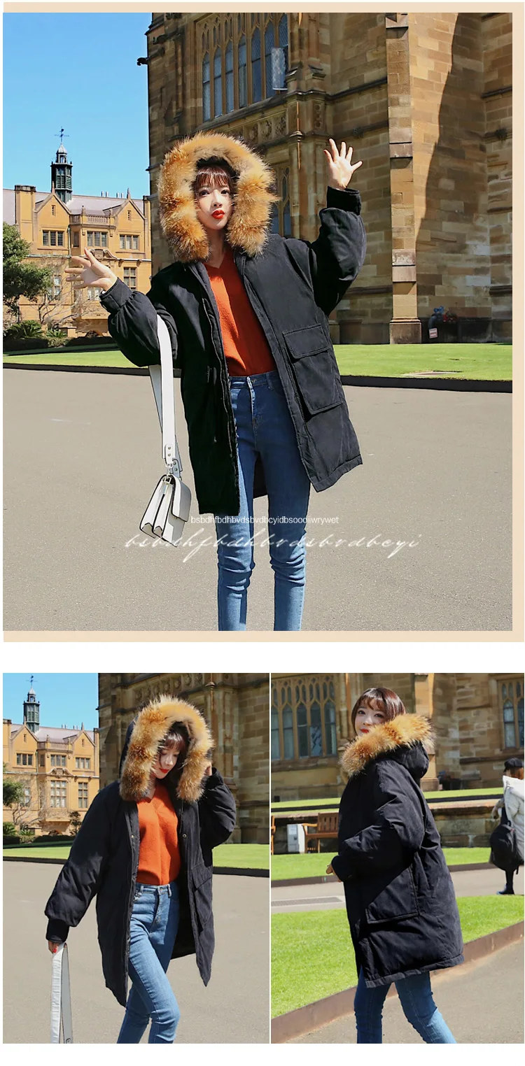 New Down cotton Jacket Slim Women Winter Puffer Jacket Portable Windproof High quality hooded Coat