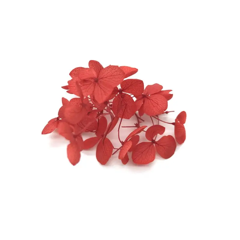 

1 Box Dry Flower DIY Epoxy Resin Crafts Handmade Filling Materials Filler Dried Flowers Time Stone Jewelry Making Desk Decoratio