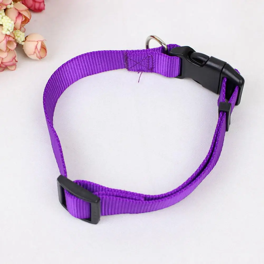 

Pet Collars Adjustable Dog Puppies Cat Pet Safety Collar Neck Strap Outdoors Accessories