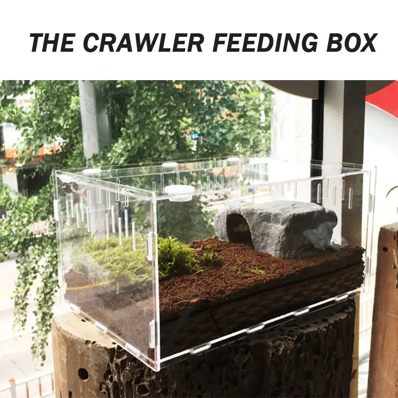 

1Pc 30*20*15cm Transparent Acrylic Pet Reptile Box With Thermometer Terrarium Durable Cold Blooded Animal Insect Home Decoration