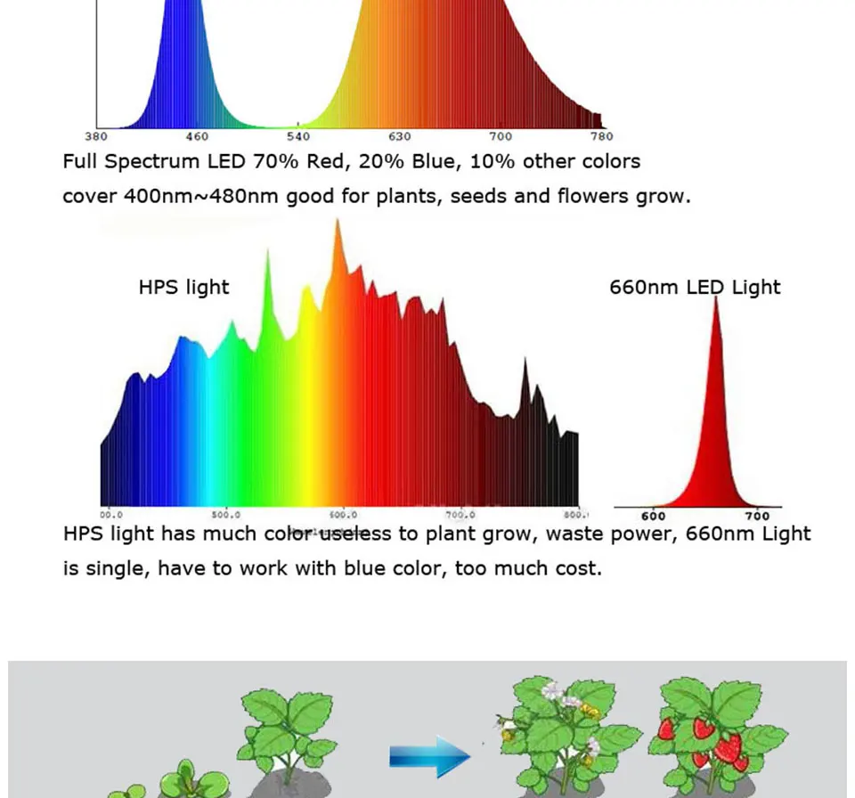 AC 110V 220V Driverless COB Plant Growing Lamp 20W 30W 50W Full Specturm Smart IC COB Chip LED Plant Grow Light Feeding Bulbs (20)