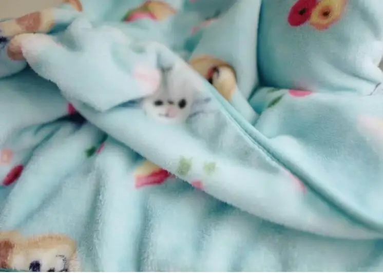 IVYYE Duffy Cat Аниме, плюшевая вещь аксессуары Плюшевая Кукла Мягкие пушистые теплые мягкие игрушечное одеяло кровать плед Новинка - Цвет: 1x1M Blanket