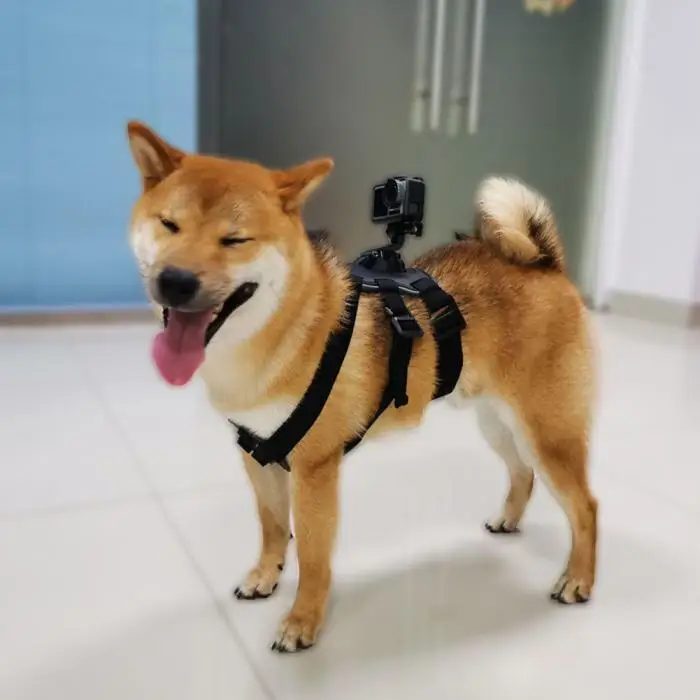 Регулируемый нагрудный ремень для собак Pet эластичный задний ремень крепление для DJI OSMO экшн-камеры дропшиппинг