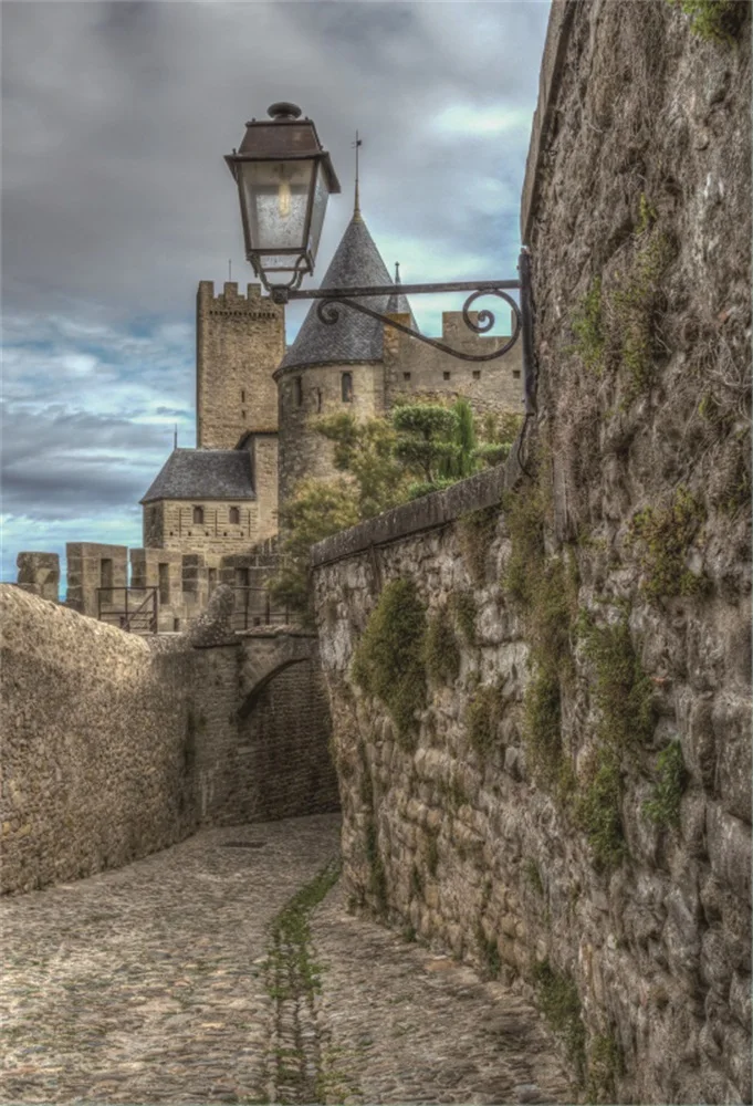 Laeacco Old Town Stone House Roadway Scenic Photography Backgrounds Customized Photographic Backdrops For Photo Studio | Электроника