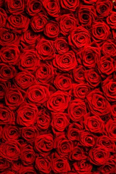 

HUAYI Rose Flower Floral Wedding Baby Shower for Birthday Party Decor Photography Backdrop photo Background Photo Studio Props