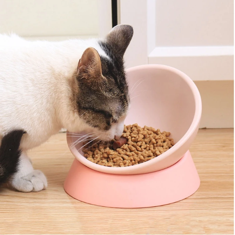 Resin Pet Bowl Cat Dog Puppy Feeding Bowls with Silicone Stand Direcion