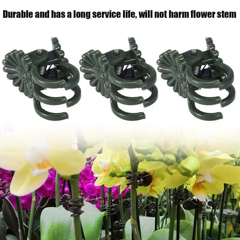 1/10/20Pcs Vine Plastic Clips Hanging Stems Decoration Orchid Stalks Fix Flower Grow Upright Grafting Tool Garden Plant Support