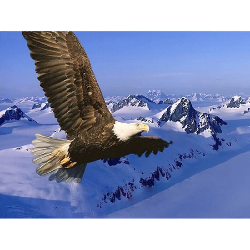 Алмазная картина 5D &quotсделай сам&quot вышивка крестиком синее небо Орел наборы для