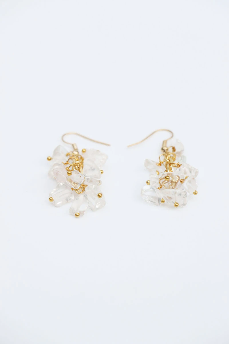 Earrings82