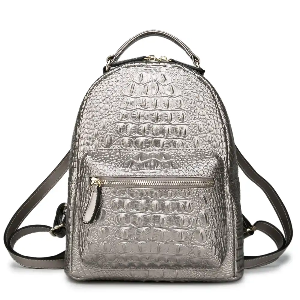 small silver backpack