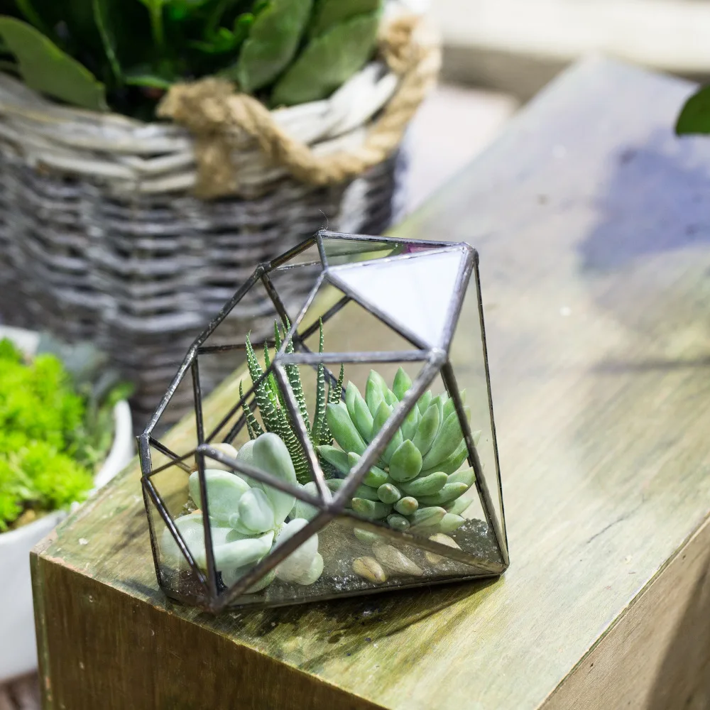 Vintage Stil Buyuk Sekiz Yuzey Elmas Sekli Etli Bitki Cam Geometrik Dekor Teraryum Kutusu Siyah Saksi Kaplari Flower Pots Containers Flower Potplant Glass Aliexpress