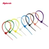 Free shipping 3*100 mm Colorful nylon cable ties cable wire tie plastic tie zip ties 100PCS/Bag and 8 colors for choose ► Photo 2/6