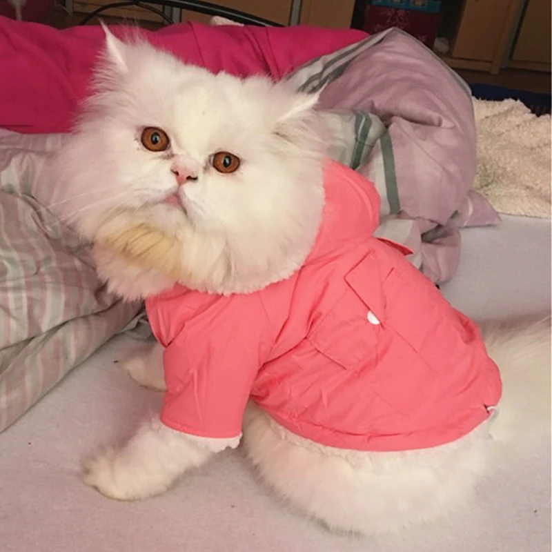 Buy Winter Cat Clothes Pet Clothes Warm Coat Cat Jacket for Cats Cute Pet