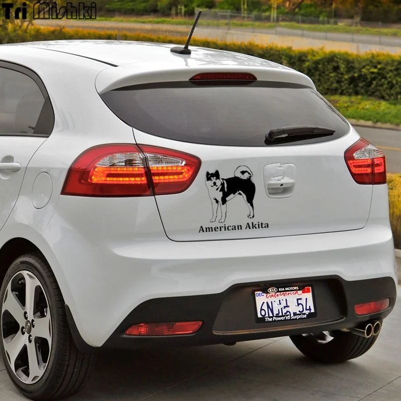 kia rio (1)_