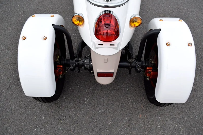 Top 60V 1000W  Citycoco Electric Scooter Lead-acid Battery Three Rounds of Motorcycle Electric Motorcycles 10