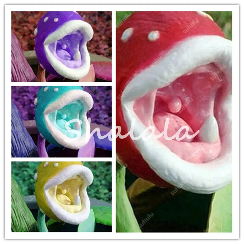 

Multifarious Nepenthes Carnivorous Plant 50 PCs Bonsai Pots Dionaea Muscipula Giant Clip Venus Flytrap Interest Plant for Garden