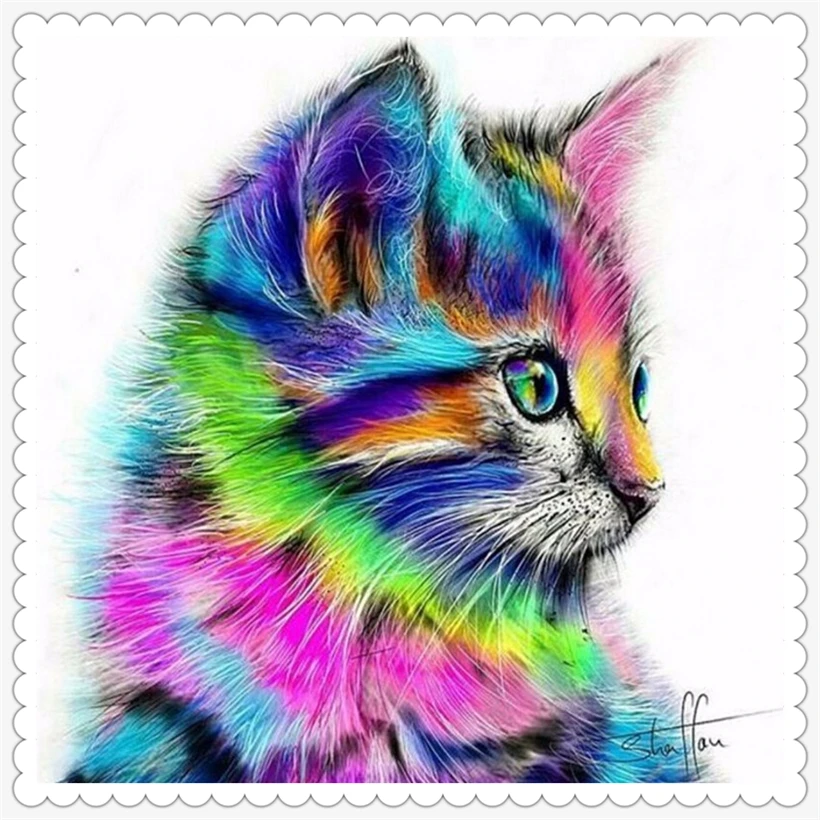HTB1X2vUMVXXXXXfaFXXq6xXFXXXD