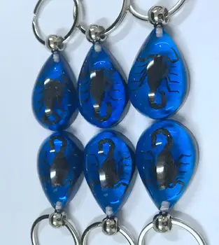 

FREE SHIPPING yqtdmy 12 pcs vogue real black scorpion blue bottom design keychain