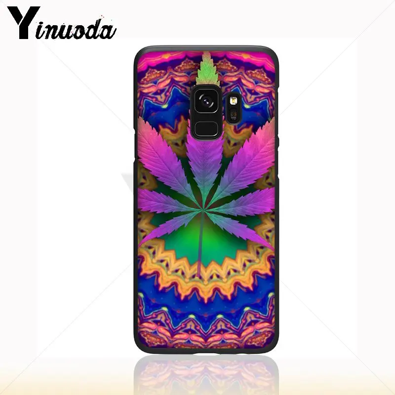 weed plant leaves Cannabis leaf