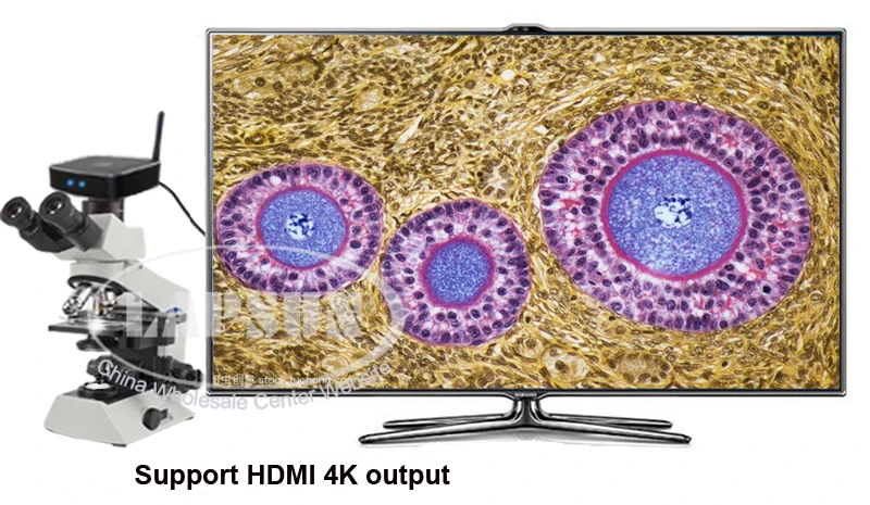 120 ГБ 1/1. " датчик 4K UHD HDMI FHD 5G WiFi 1080 p@ 60fps промышленный микроскоп цифровая видеокамера с-креплением