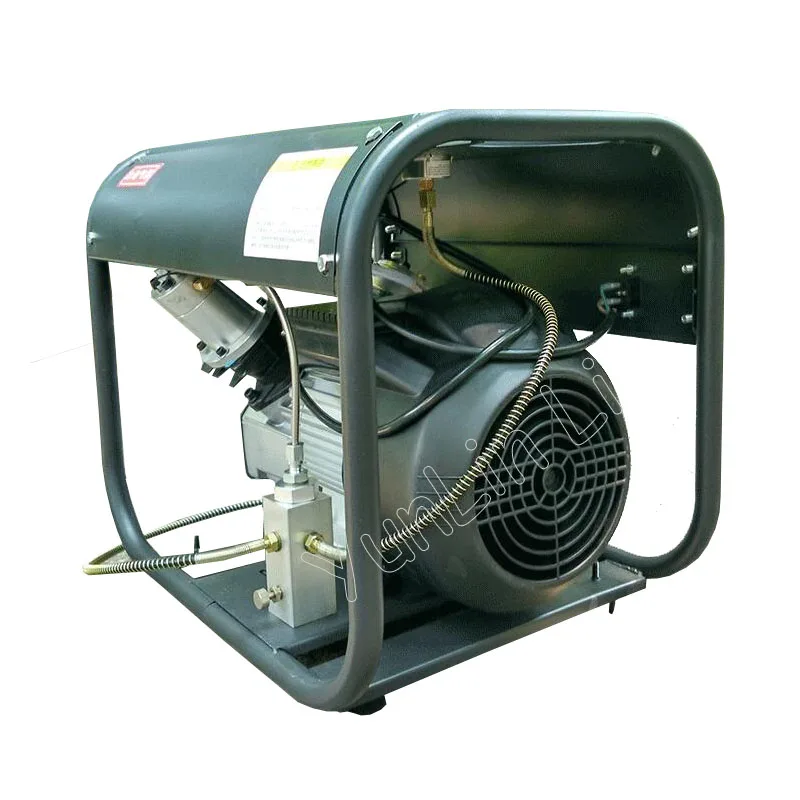 220V Electric Air Pump Air Pump Double Cylinder High Pressure Paintball Air Compressor for Airgun Rifle