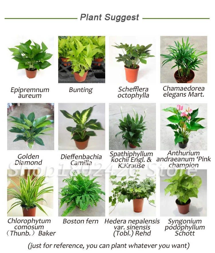 Super Stronger Separating Flowerpot (21)