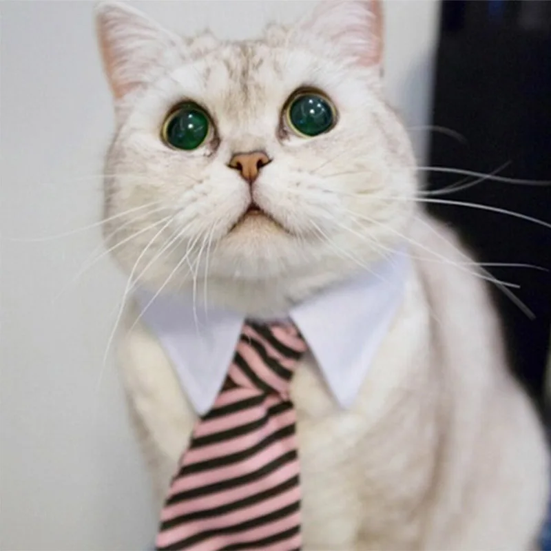 

Hot Pet Dog Cat Neckwear Tie Necktie Casual Stripe Printing Adjustable Collars Gift Party XJS789