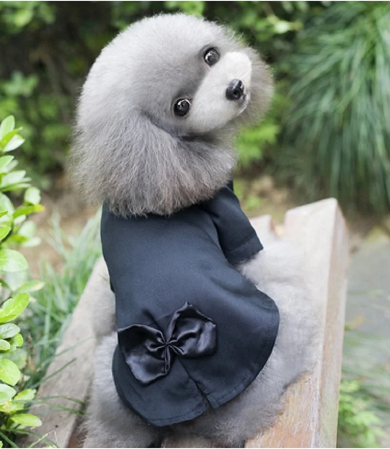 d31-2016-fashion-pet-dog-gentlemen-formal-suit-clothes-puppy-dog-black