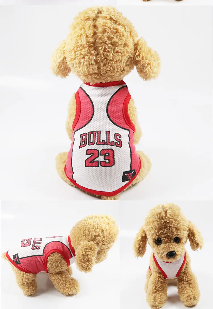 9352786239_1119372358