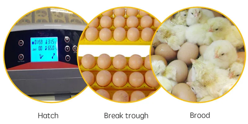 Сельскохозяйственная инкубатория машина 56 яиц инкубаторы дешевая цена куриный автоматический инкубатор для яиц птицы перепелиные Брудер Птицы Животные яйца