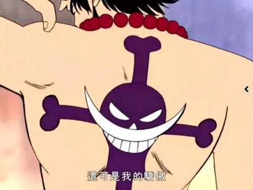

Anime OP ONE PIECE Tattoos Cosplay Accessories White Beard Pirate Free Shipping