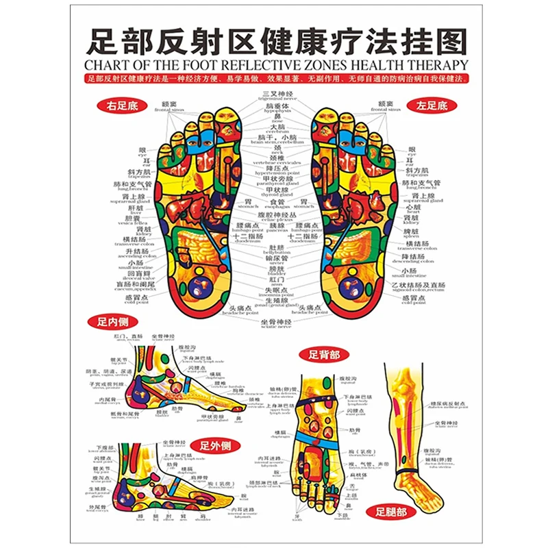 1 шт. стандартная рефлексотерапия диаграммы TCM стопы акупунктурный центр здоровья декоративная живопись Эскиз карта