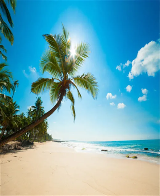 leaning palm tree beach sunshine seascape computer printed vinyl