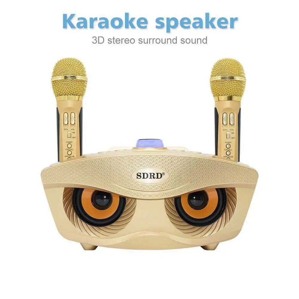 

SD306 Dual Wireless Microphone Bluetooth Speaker Mobile Wireless Karaoke Speaker Wireless Stereo Speaker Set
