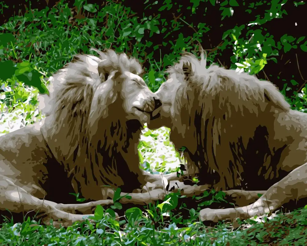 MaHuaf-j406 love of lions Set for coloring by numbers art animal pictures for living room home decor 